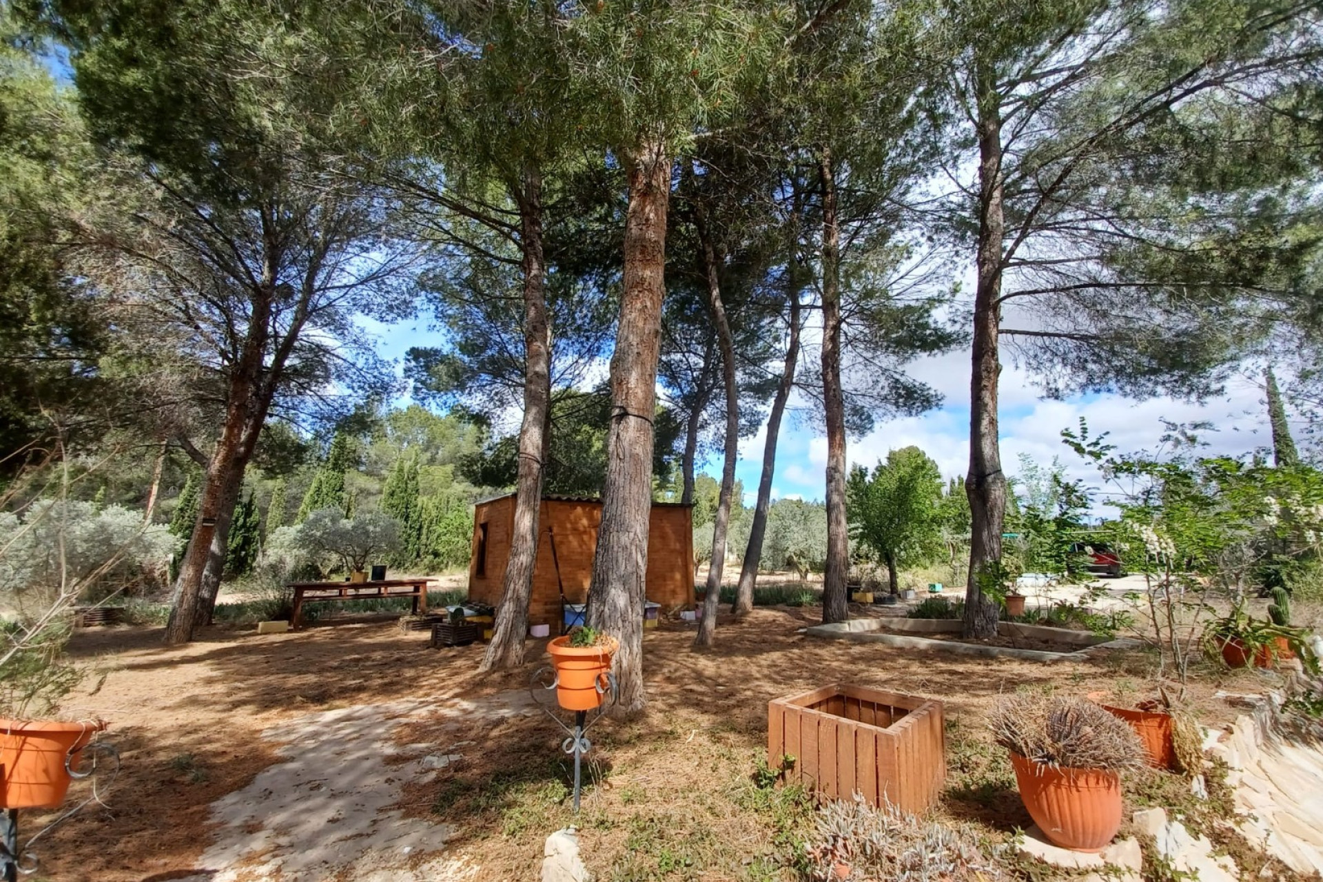 Revente - Villa -
Sax