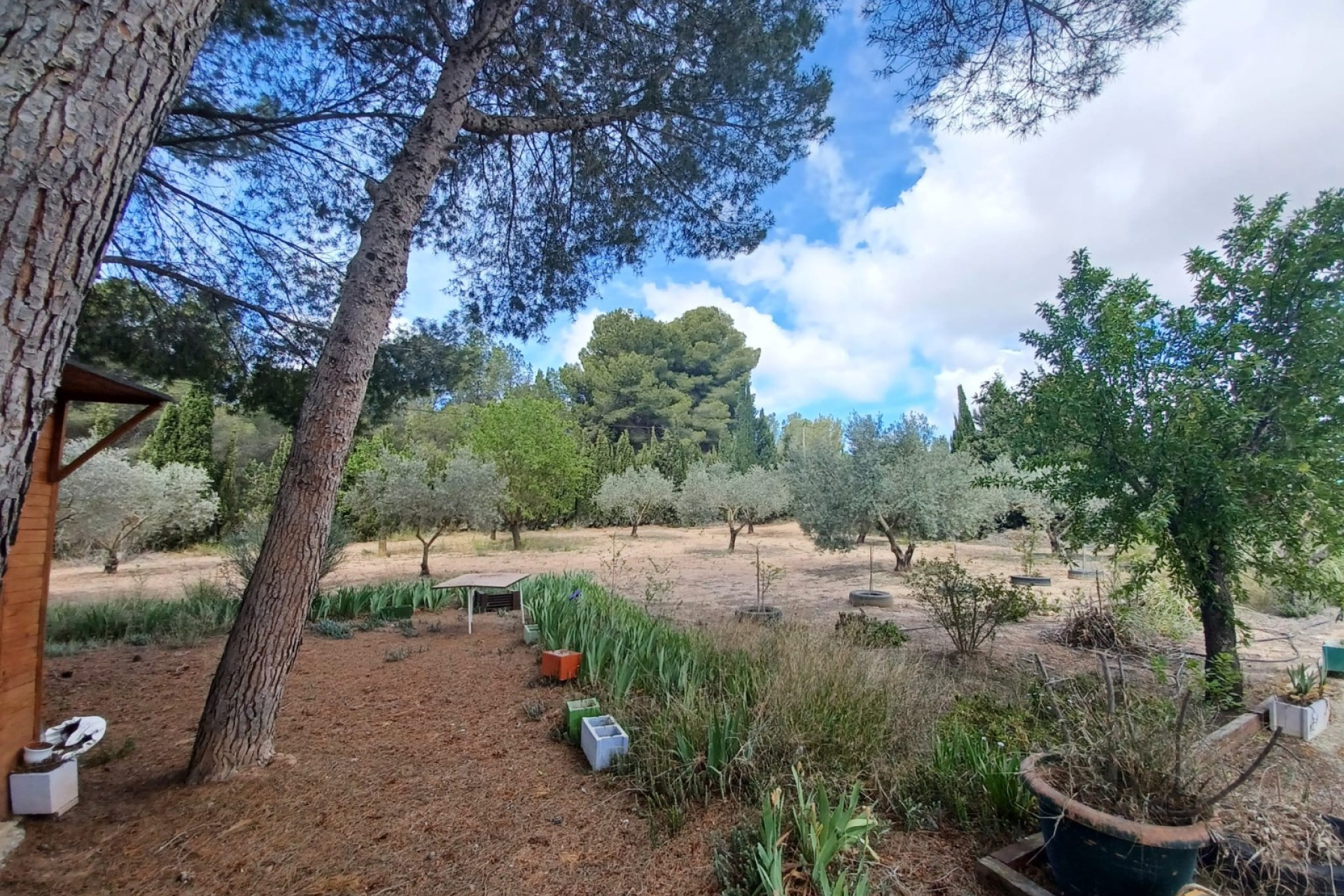 Revente - Villa -
Sax