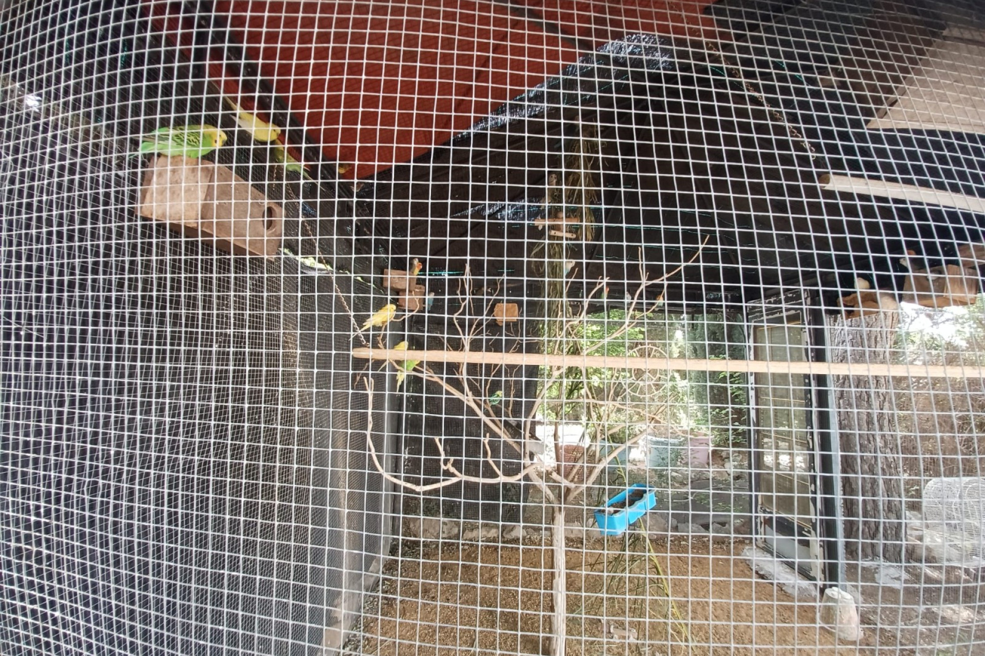 Revente - Villa -
Sax