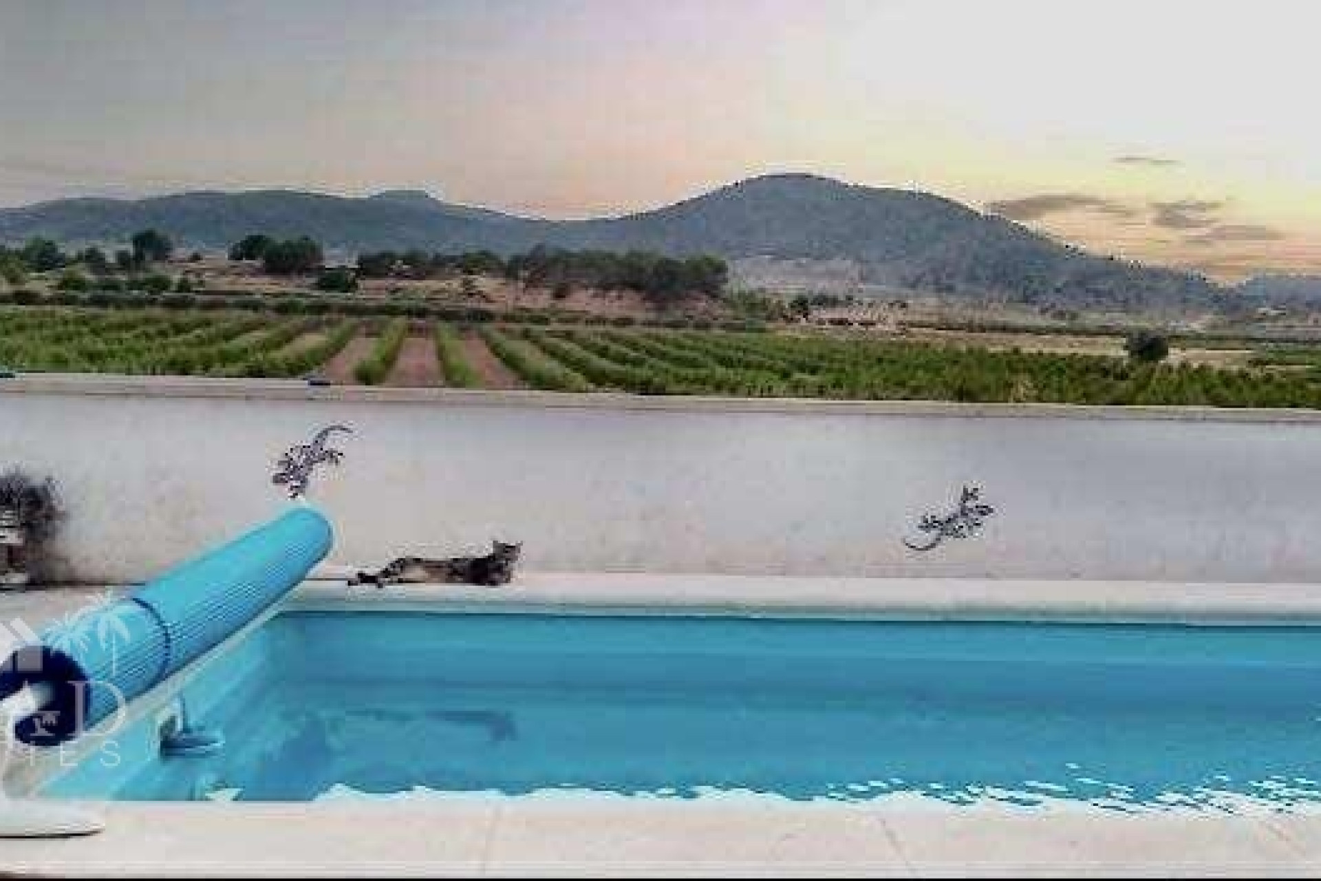 Revente - Villa -
Yecla - Yecla Murcia