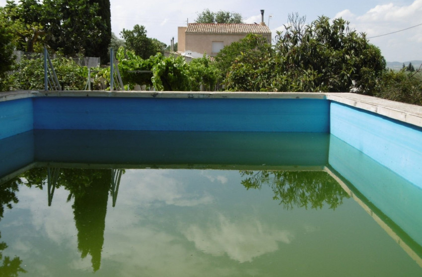 Revente - Villa -
Yecla