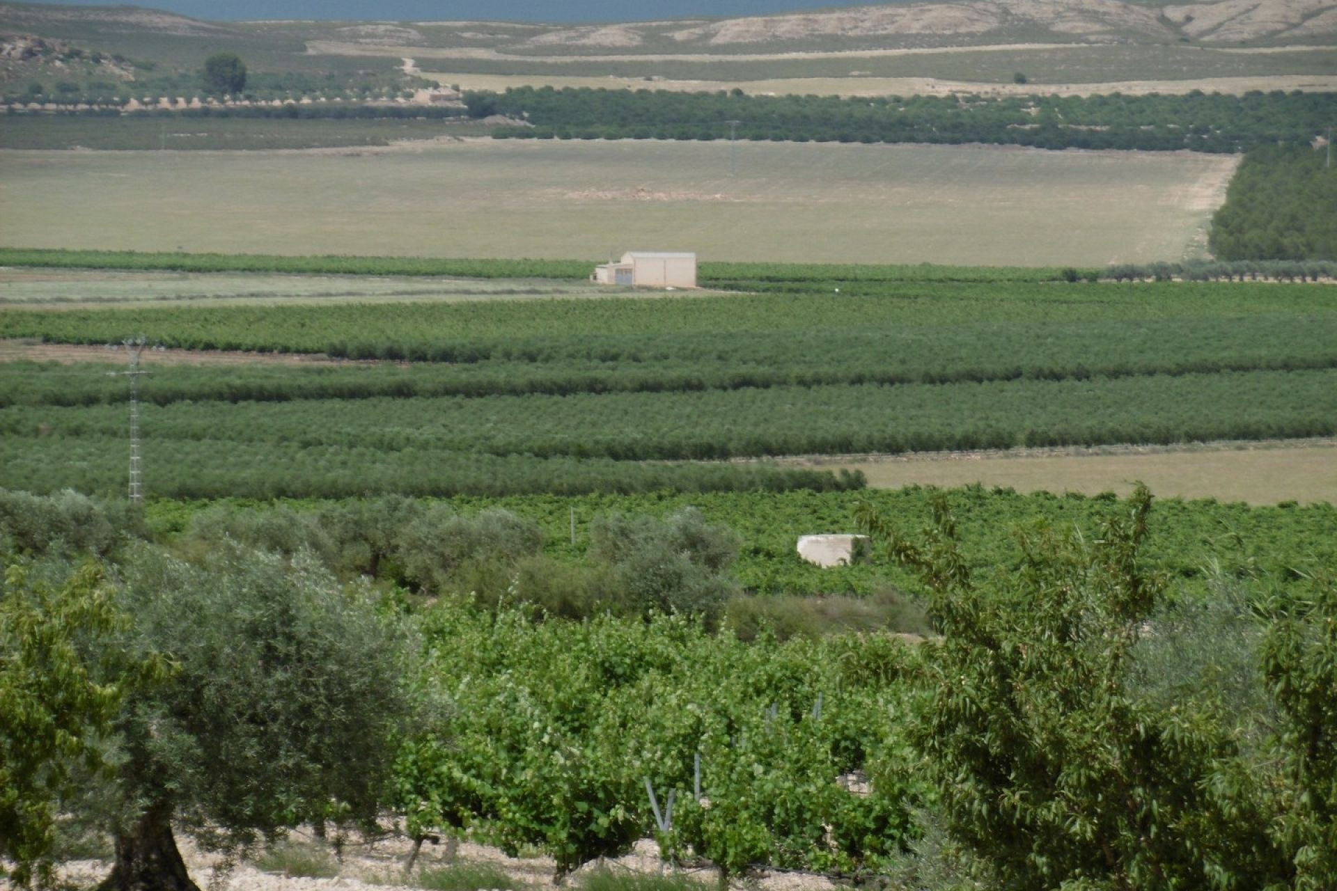 Revente - Villa -
Yecla