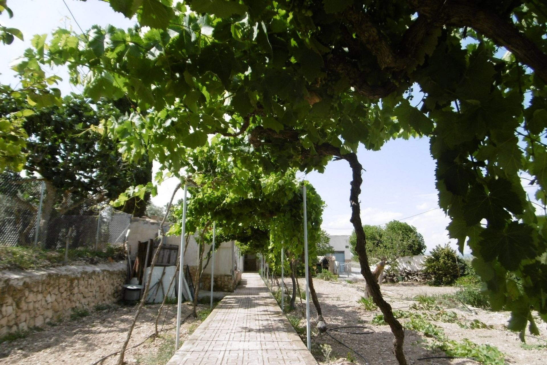 Revente - Villa -
Yecla