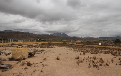 Terrain - Revente - Abanilla -
                ABANILLA