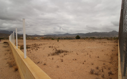 Terrain - Revente - Abanilla -
                ABANILLA