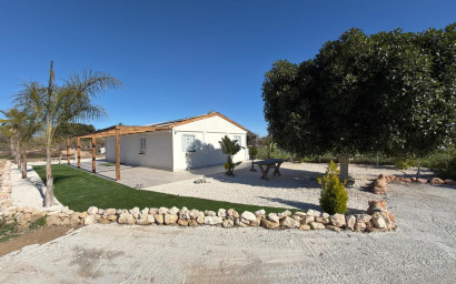 Terrain - Revente - Algorfa - Algorfa