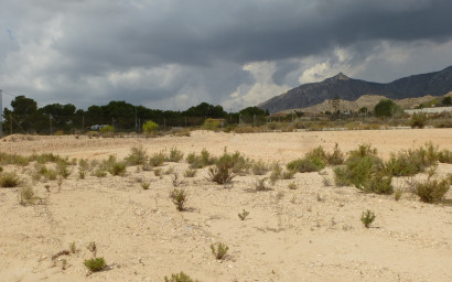 Terrain - Revente - Crevillente - Crevillente - Country