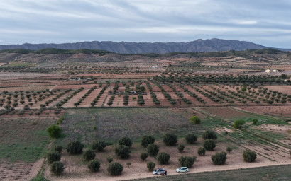Terrain - Revente - Jumilla - Jumilla