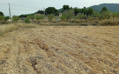 Terrain - Revente -
            Monovar - 25564