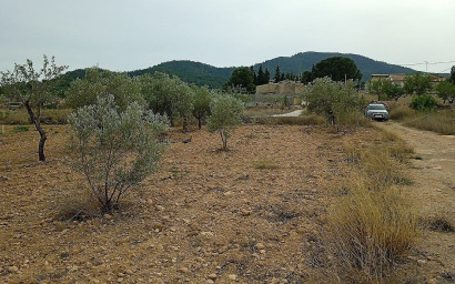 Terrain - Revente -
            Monovar - 94619