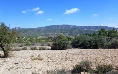 Terrain - Revente - Monovar - Monovar