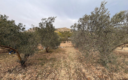 Terrain - Revente - Onil - Onil