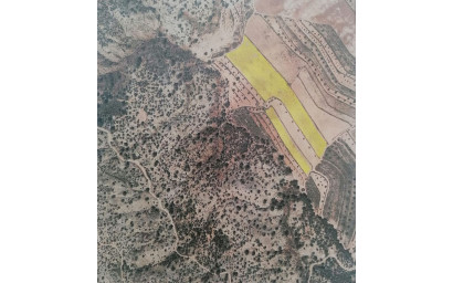 Terrain - Revente -
            Pinoso - 62919