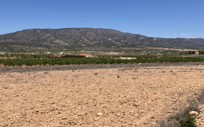 Terrain - Revente -
            Pinoso - A210