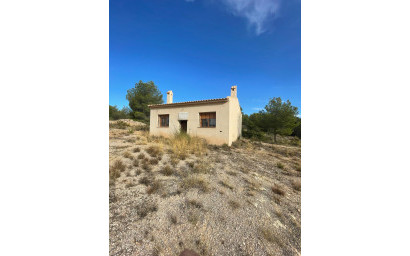 Terrain - Revente - Pinoso - Pinoso Alicante