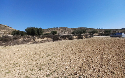 Terrain - Revente - Pinoso - Pinoso