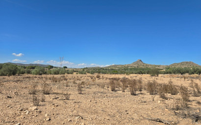 Terrain - Revente - Salinas - Salinas