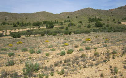 Terrain - Revente -
            Yecla - 14153