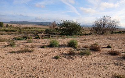 Terrain - Revente -
            Yecla - AC007