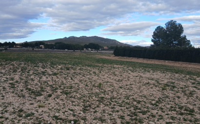 Terrain - Revente -
            Yecla - AC019