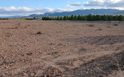 Terrain - Revente - Yecla - Yecla