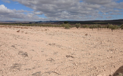 Terrain - Revente - Yecla - Yecla