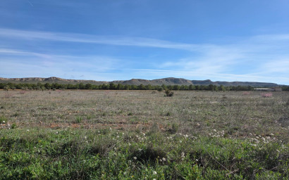 Terrain - Revente - Yecla - Yecla