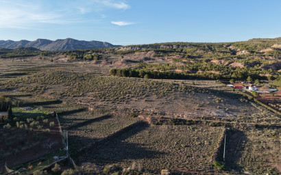 Terrain - Revente - Yecla - Yecla