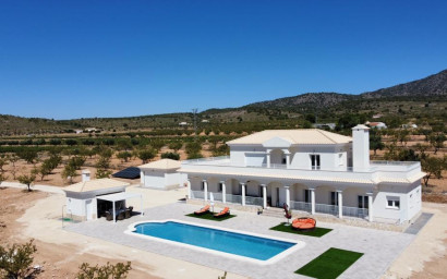 Villa - New Build - Pinoso - Pinoso