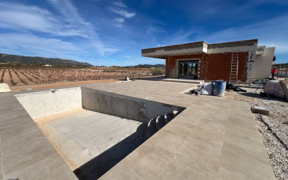 Villa - New Build - Pinoso - Pinoso