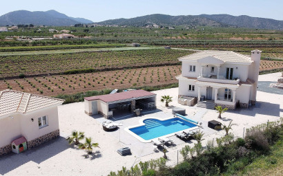 Villa - New Build - Pinoso - Pinoso