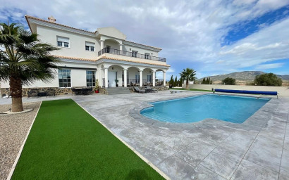 Villa - Nieuwbouw - Pinoso - Pinoso