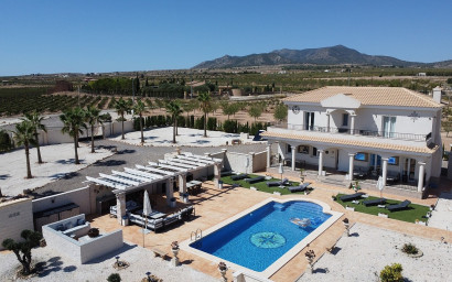 Villa - Nouvelle construction - Pinoso - Pinoso