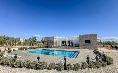 Villa - Nouvelle construction - Pinoso - Pinoso