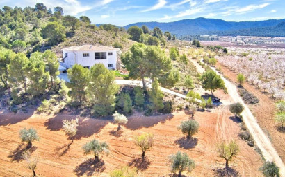 Villa - Revente -
            Villena - C-1549
