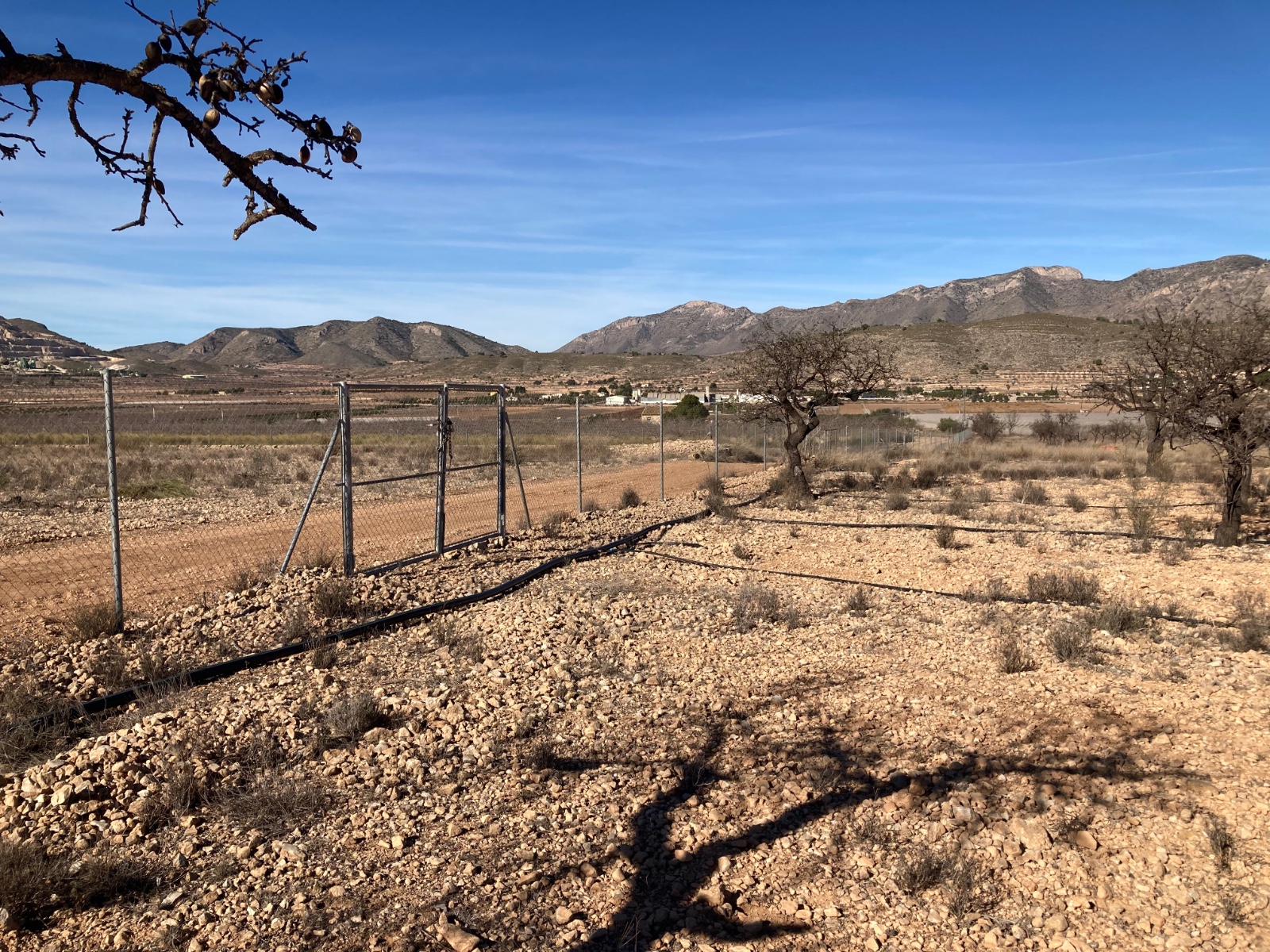 Land in Hondón de las Nieves