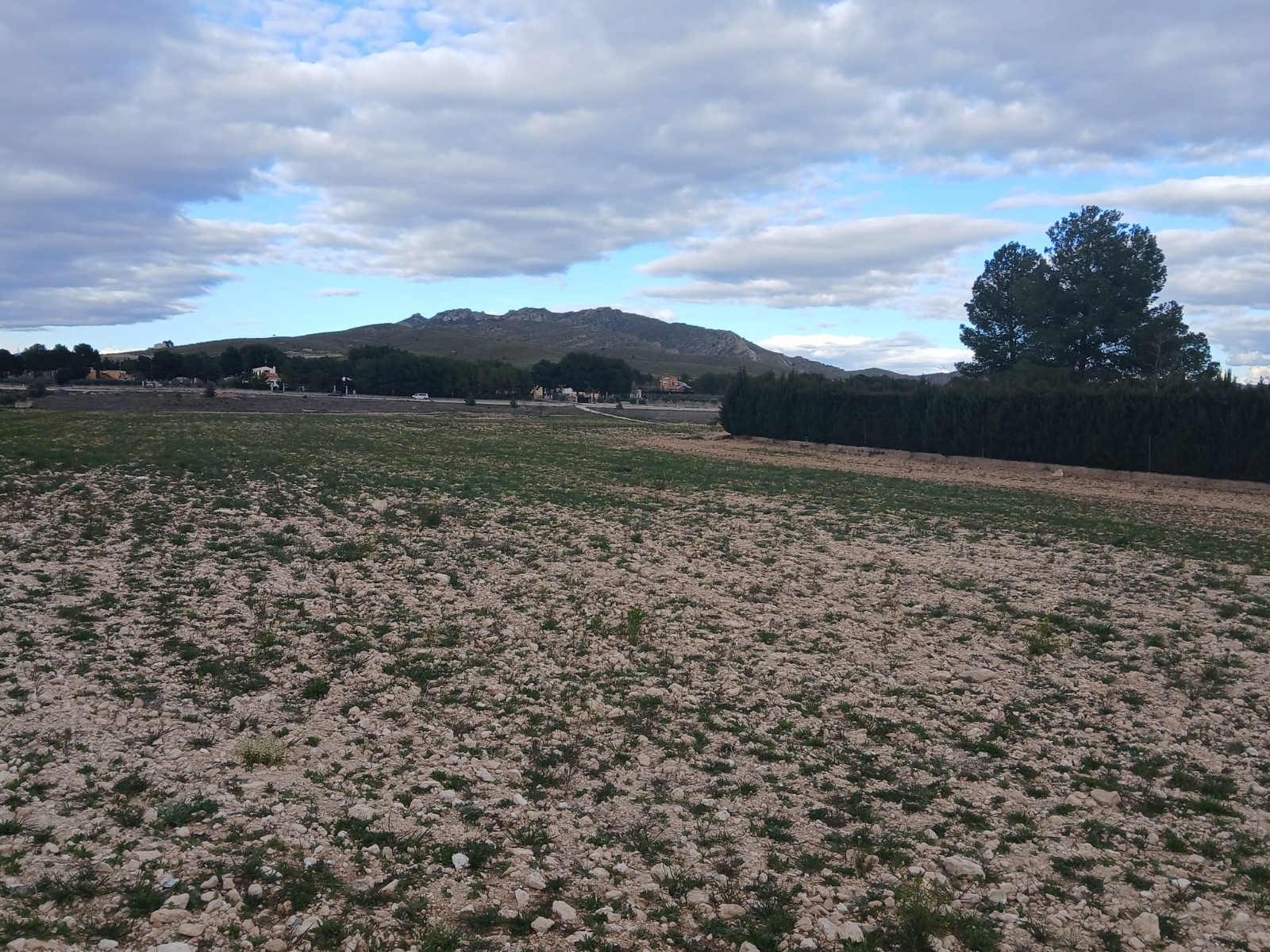 Land in Yecla