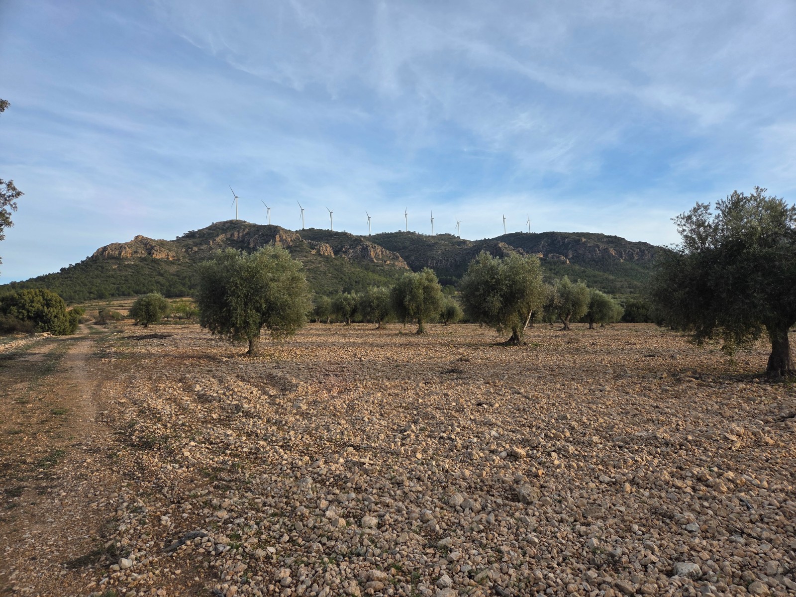 Land in Fuente del Pino - view 1