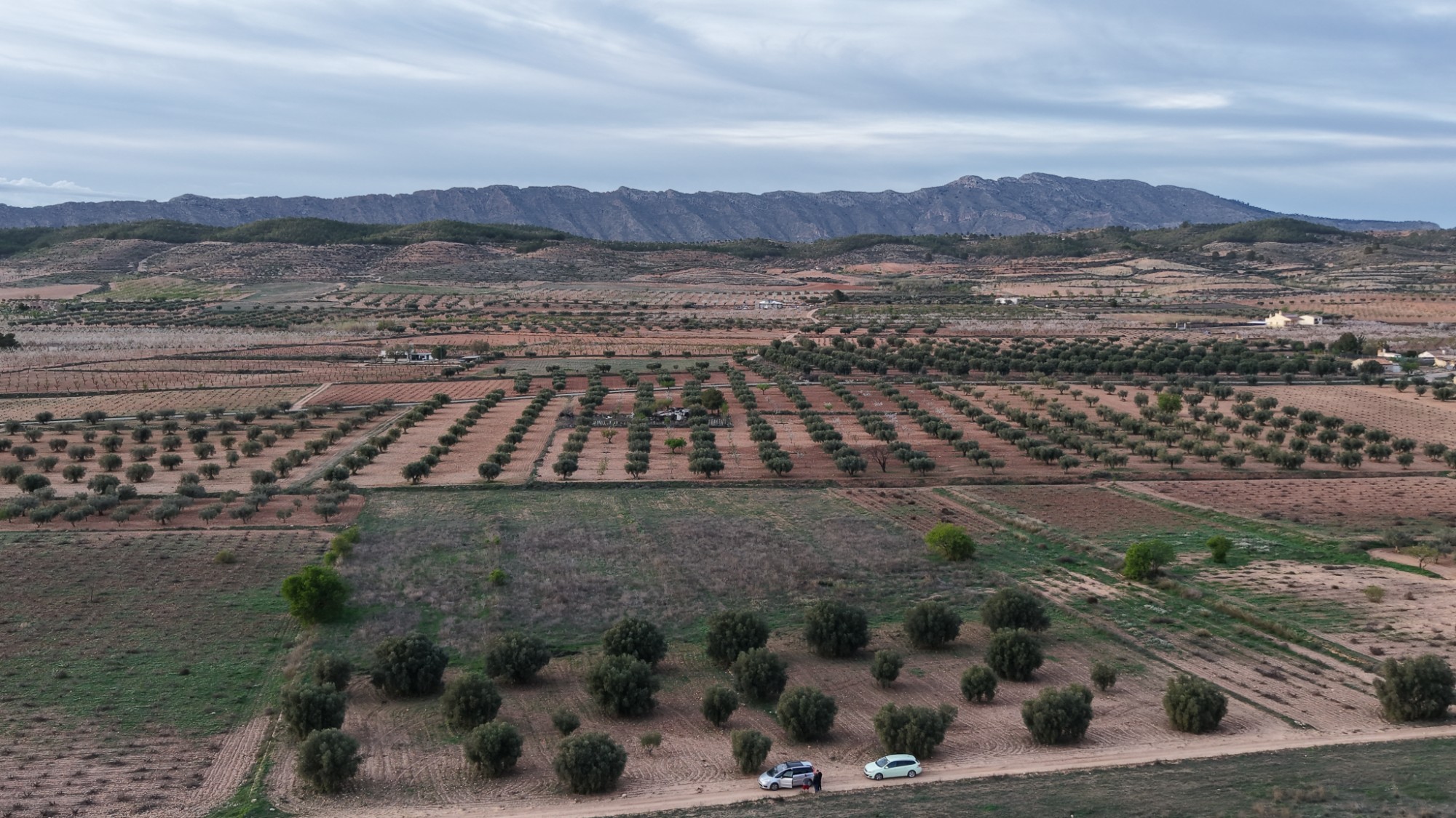 Land in Fuente del Pino - view 1