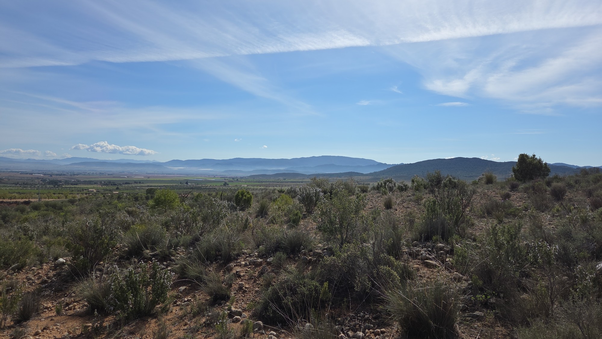 Land in Yecla - Image 3