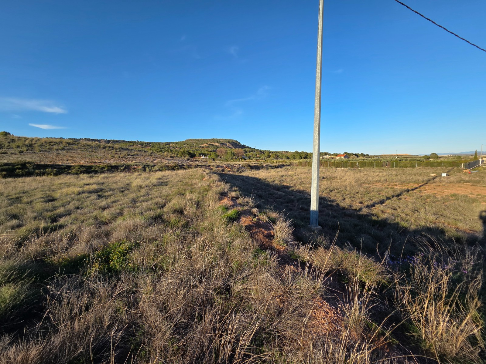 Land in Yecla - Image 2