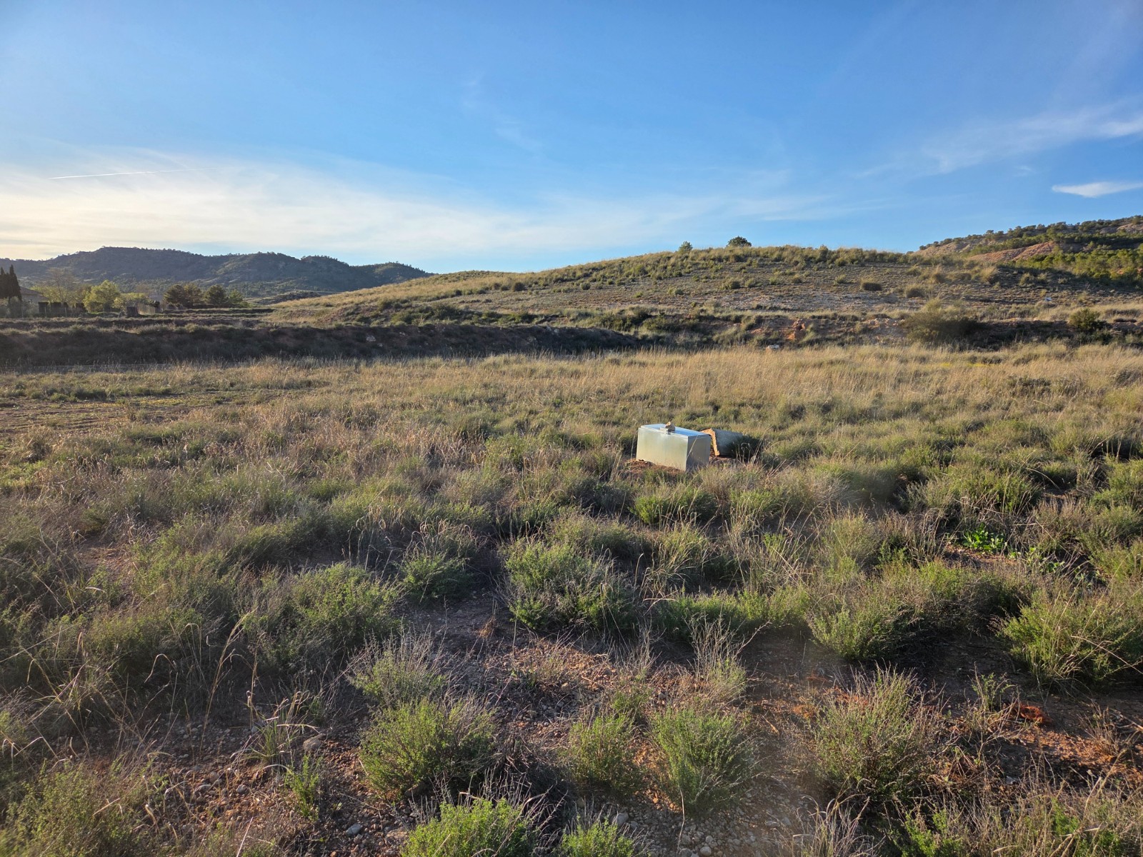 Land in Yecla - Image 3