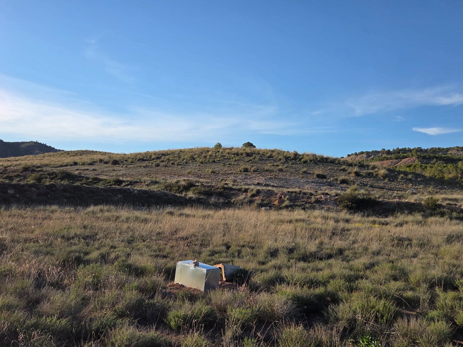 Land in Yecla - Image 4