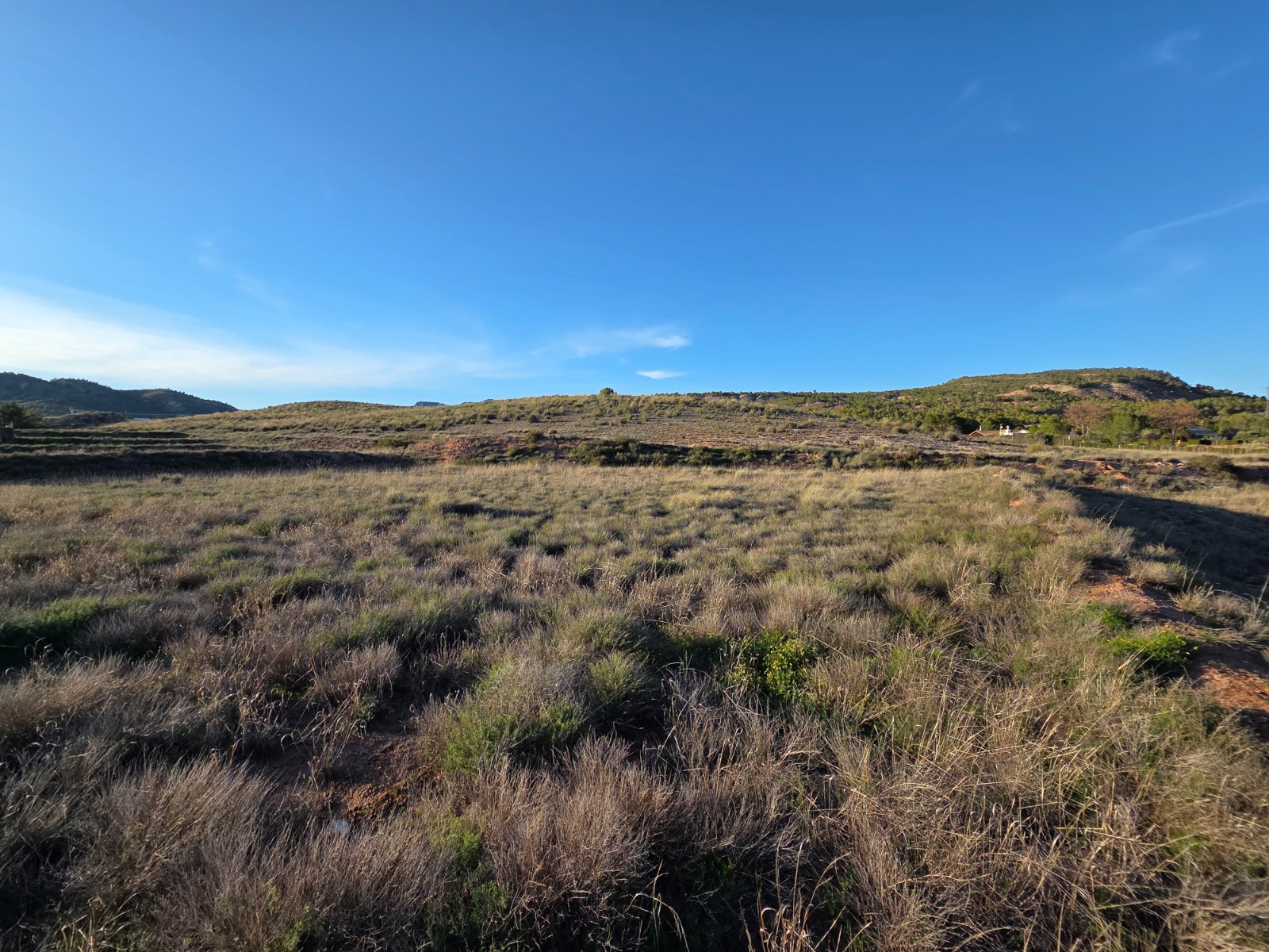Land in Yecla - Image 5