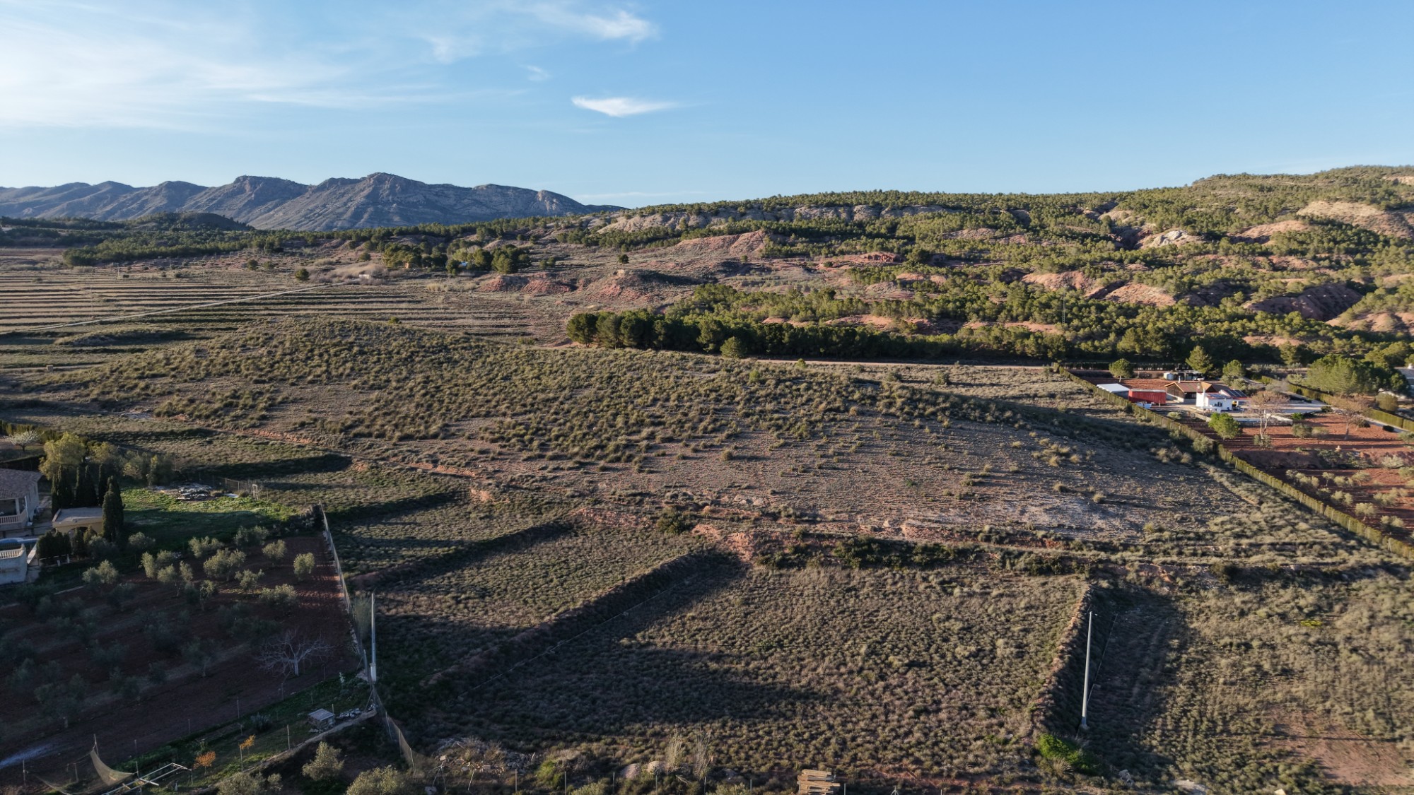 Land in Yecla - view 1