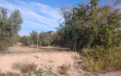 Resale - Finca / Country Property -
Jumilla