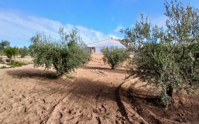 Resale - Finca / Country Property -
Jumilla