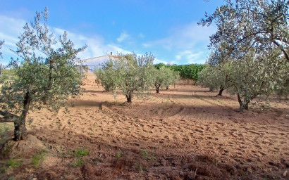 Resale - Finca / Country Property -
Jumilla