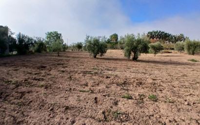 Resale - Finca / Country Property -
Jumilla