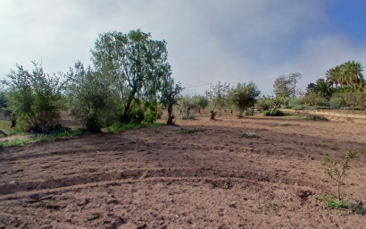 Resale - Finca / Country Property -
Jumilla